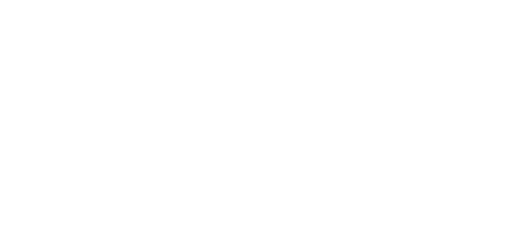 NASSAU STREET (white png)